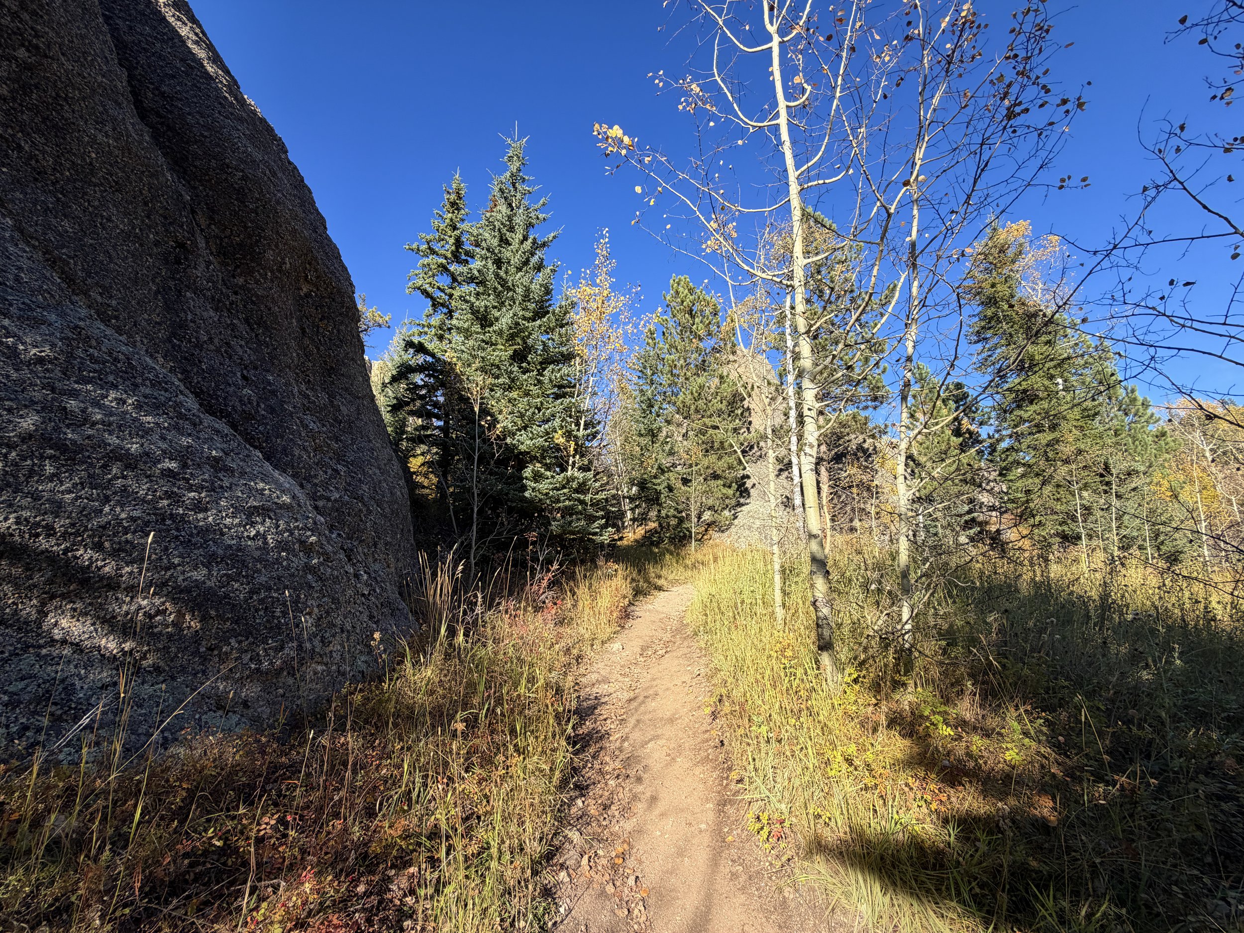 Hiking the Little Devils Tower Trail in Custer State Park in the